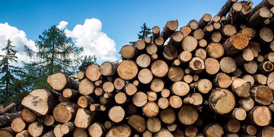 Die Forstwirtschaft hat im vergangenen Jahr wieder durchschnittlich viel Holz geernet, nachdem im Vorjahr wegen Sommerhitze, Borkenkäferbefall und Winterstürmen ausserordentlich viel Holz geerntet wurde. (Archivbild)