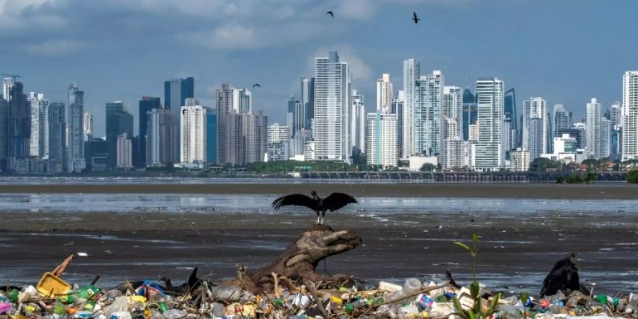 Plastikmüll an einem Strand