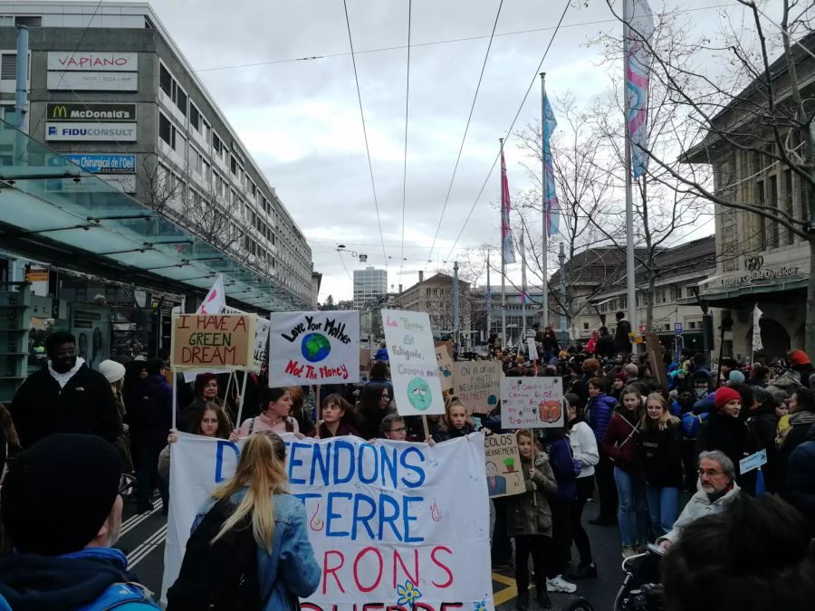 Mit bunten Plakaten und Bannern zog der Klimastreik durch die Stadt.