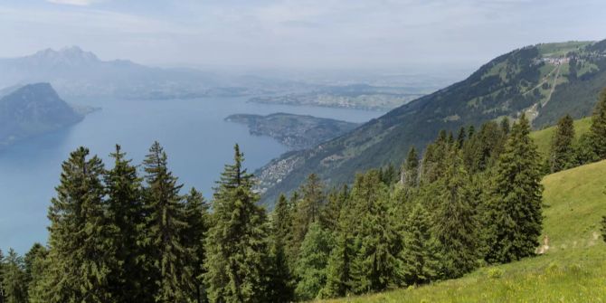 Rigi