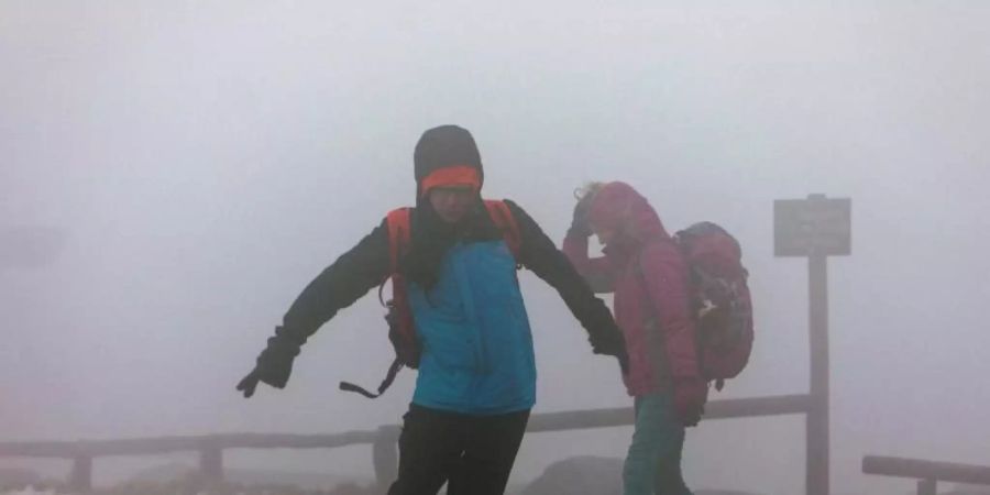 Sturmtief «Sabine»: Touristen stemmen sich gegen die Windböen auf dem Brocken. Foto: Bernd März/dpa