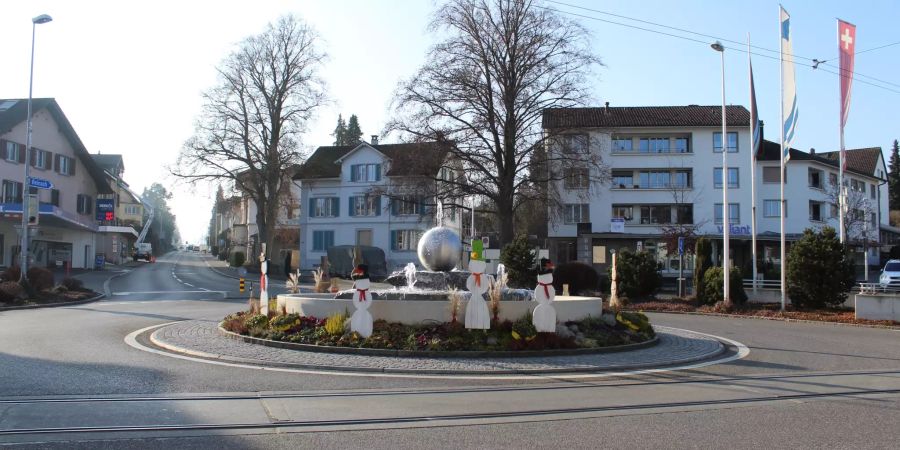 Kreisel in Beinwil am See.