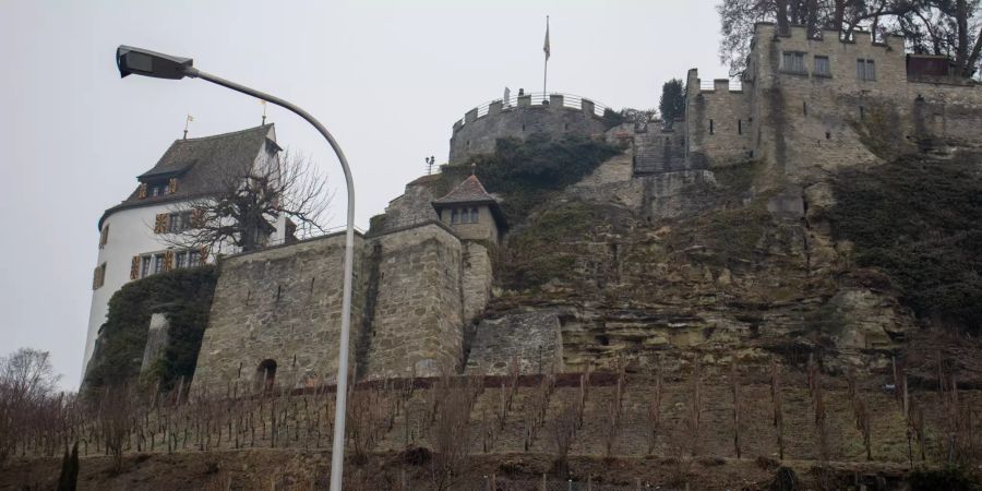 Burg in Teufenthal.