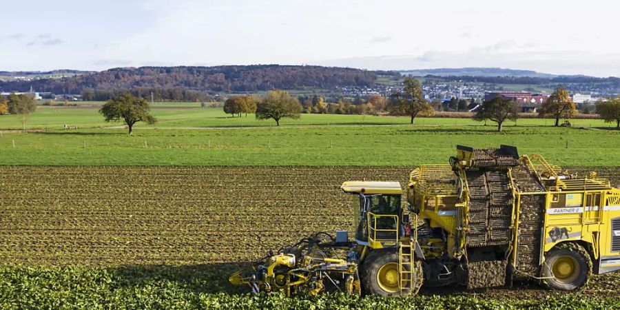 Landwirtschaft