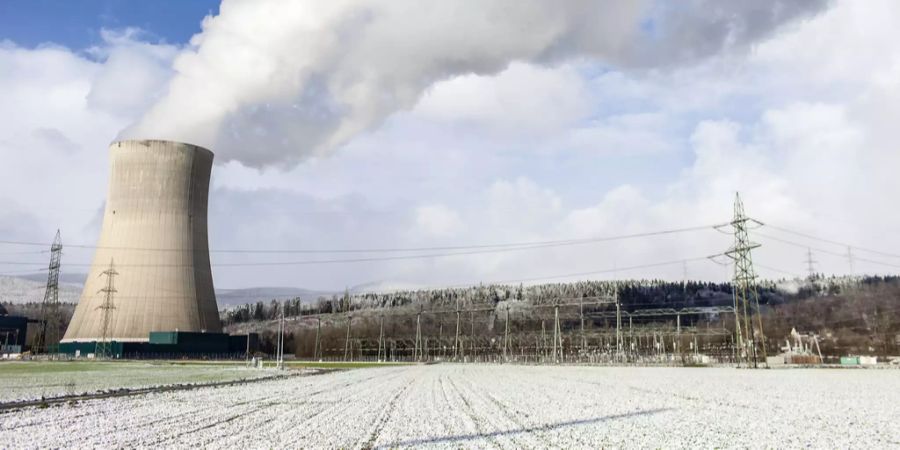 Kernkraftwerk Gösgen