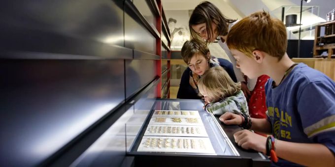 Die Schatztruhe des Museums: Schubladen mit unzähligen Garnituren, Geflechten, Bordüren und Agréments. Strohmuseum im Park