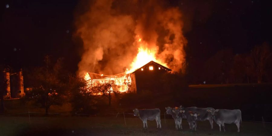 Brand