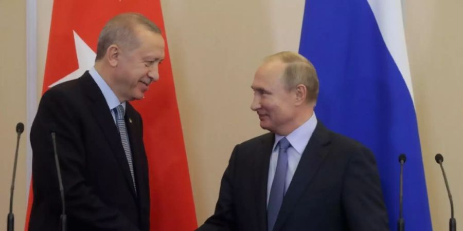 Erdogan und Wladimir Putin