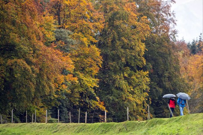 Spaziergänger gehen auf einen bunt verfärbten Wald im Berner Oberland zu. Herbst in der Schweiz