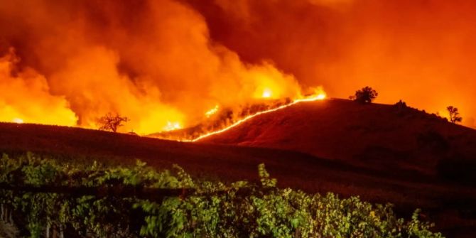 waldbrand