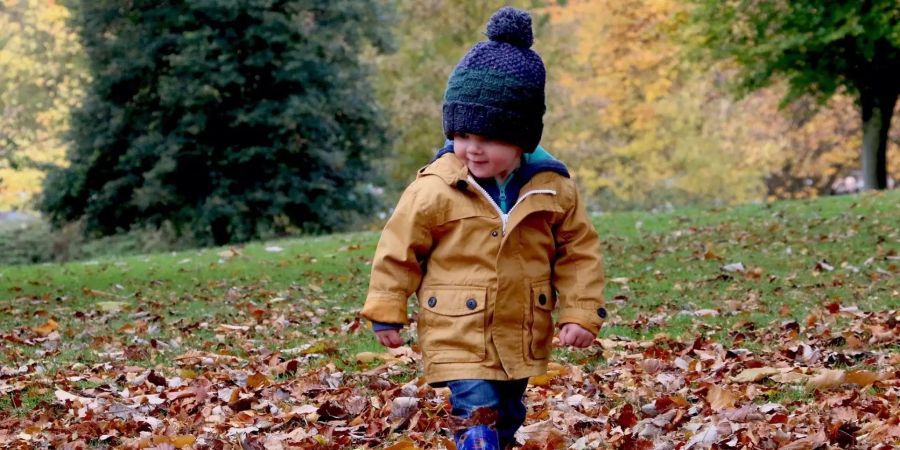 kinder spielen natur draussen