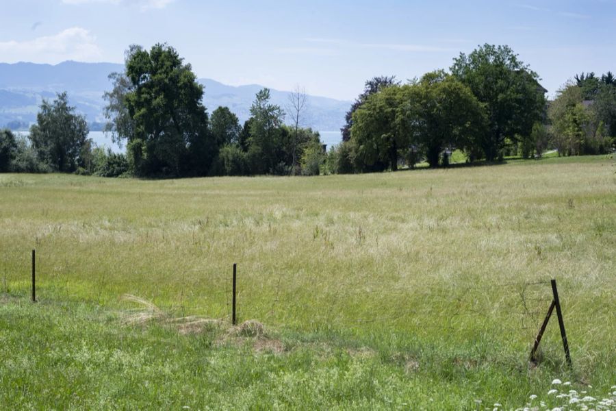 So hat die rund 18'000 Quadratmeter grosse Fläche in Rapperswil-Jona SG vor dem Bau ausgesehen. (Bild aus 2019)