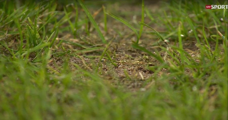 Wegen diesen Löchern im Letzi-Rasen beklagt sich der FCZ.