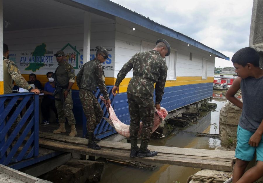 Der Bestand geriet durch illegale Fischerei in Gefahr. Diese ist in Brasilien das zweithäufigste Umweltverbrechen nach illegalen Rodungen.