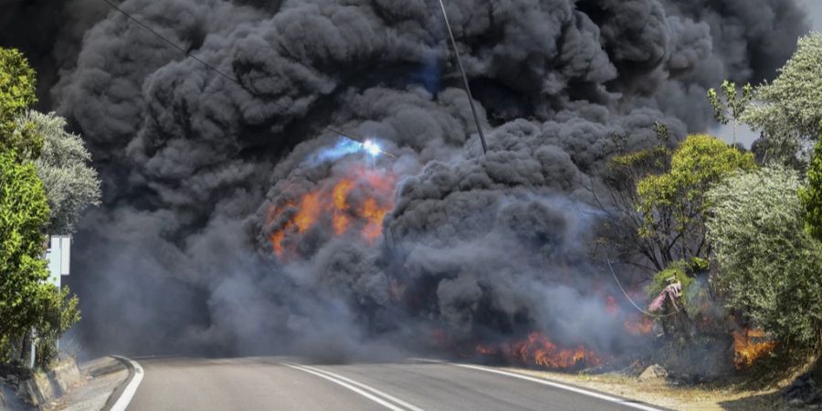 Waldbrand Griechenland