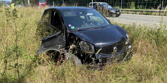 Staufen/A1: Wildschutzzaun durchbrochen