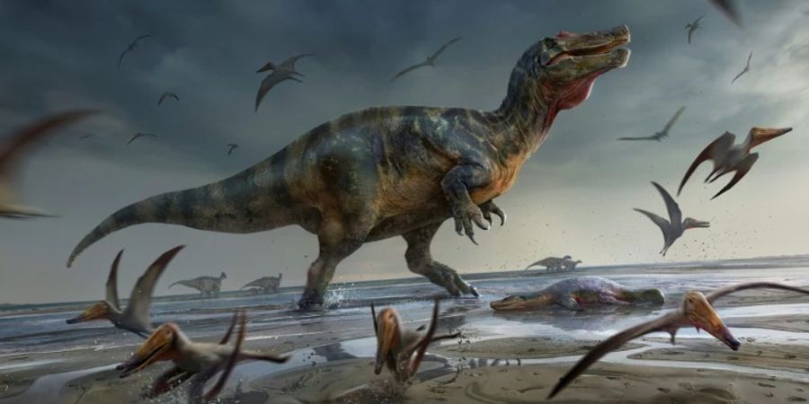 Darstellung des neu entdeckten «White Rock Spinosaurus»