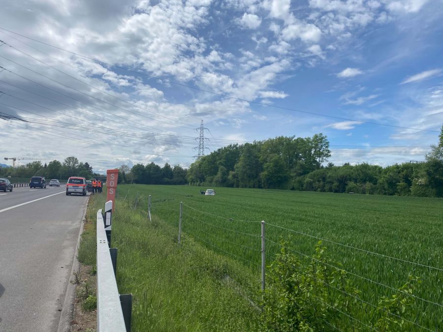 Der Auto durchbrach einen Wildzaun.