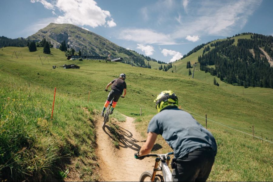 Mountainbike Trail Wiriehornbahnen