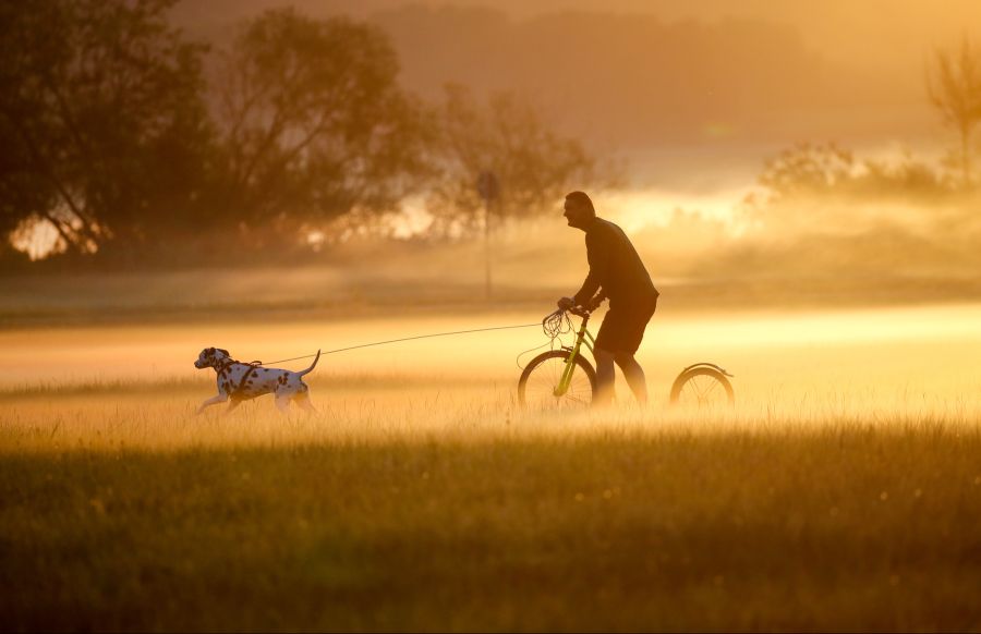 Am Morgen ist es jeweils noch kühl, und lokale Nebelfelder sind möglich.