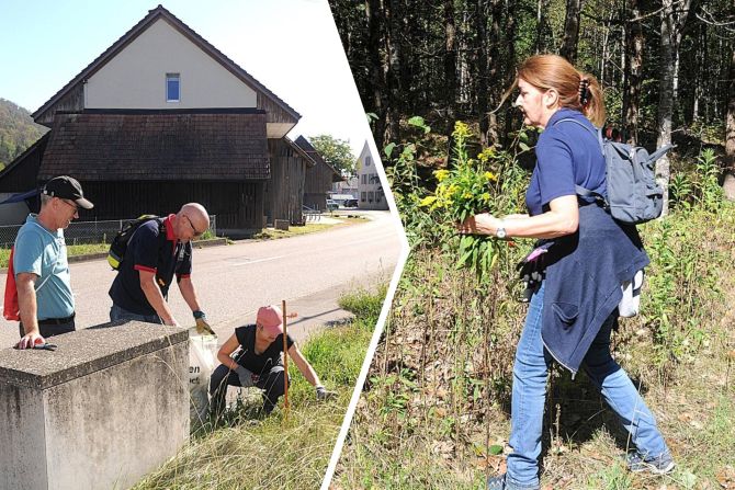 Erstmals führte die Gemeinde einen Neophyten-Bekämpfungstag durch
