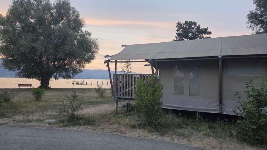 Diese stehen ganz vorne am See.