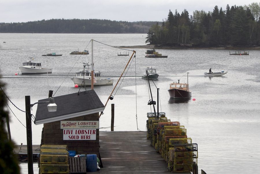 Die gesamten kommerziellen Fischereierträge Maines lagen 2025 bei etwa 619 Millionen US-Dollar.