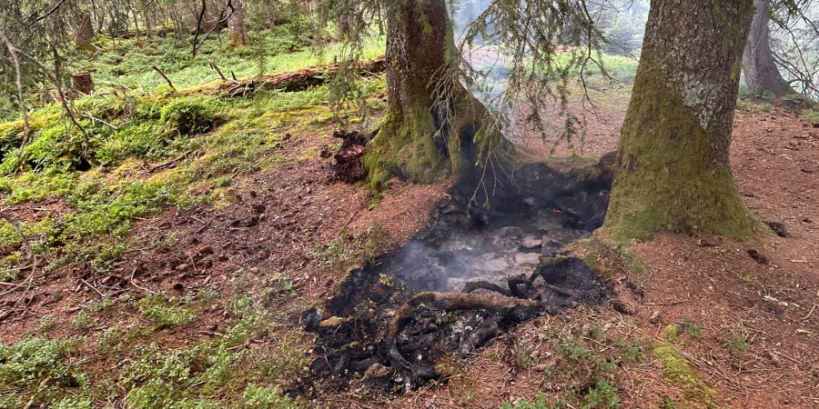 Flächenbrand Innerthal