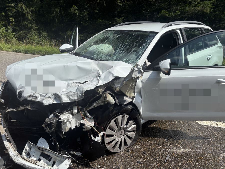 Die verletzten Personen wurden in Spitäler gebracht.