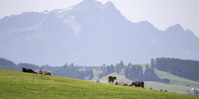 PFAS Kanton St. Gallen