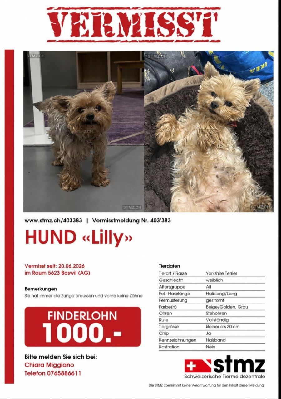 Wer Lilly findet, erhält einen Finderlohn von 1000 Franken.