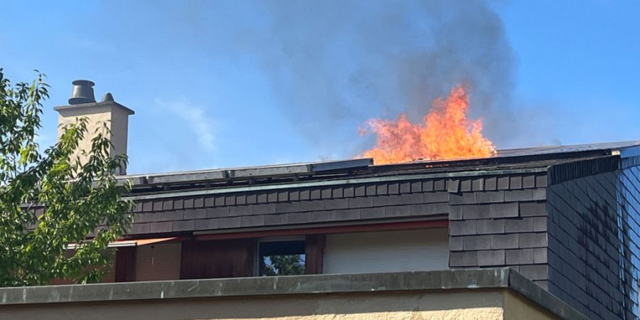 Der Dachstock eines Einfamilienhauses in Reinach BL geriet in Brand. Die Feuerwehr rettete eine Katze.