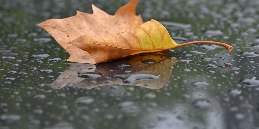 Am Samstag fällt dann aber vermehrt Regen. (Symbolbild)