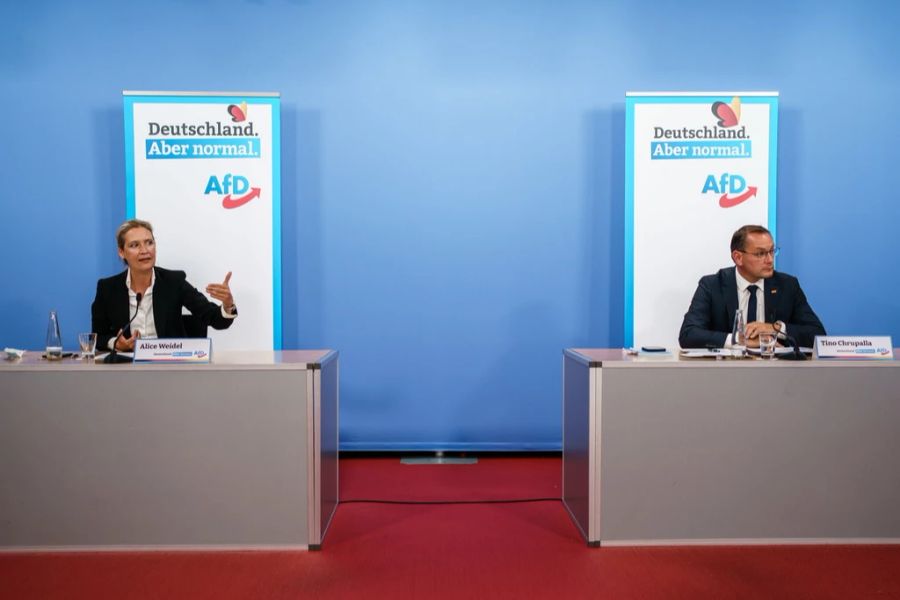 Laut einer neuen Meinungsumfrage hat die AfD seit dem Jahresbeginn viele Wählerstimmen verloren.