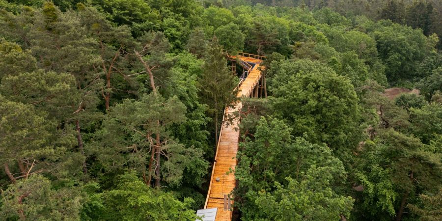 Der als «Klimawaldpfad» angedachte Baumwipfelpfad am Nürnberger Tiergarten soll den Wald spielerisch erlebbar machen und auch mit Kinderwagen und Rollstühlen zugänglich sein.