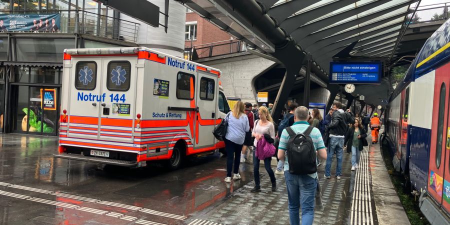 Am Montagmorgen drückte eine Person im blockierten Zug den Notfallknopf. Darauf bot die Transportpolizei laut SBB vorsichtshalber die Ambulanz auf.