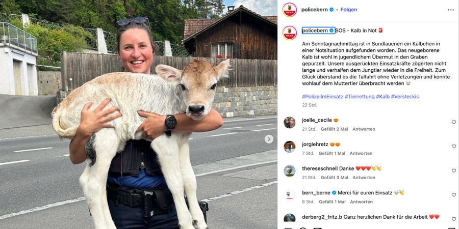 kalb in not