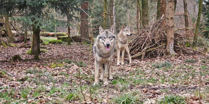 Wildpark Bruderhaus Winterthur