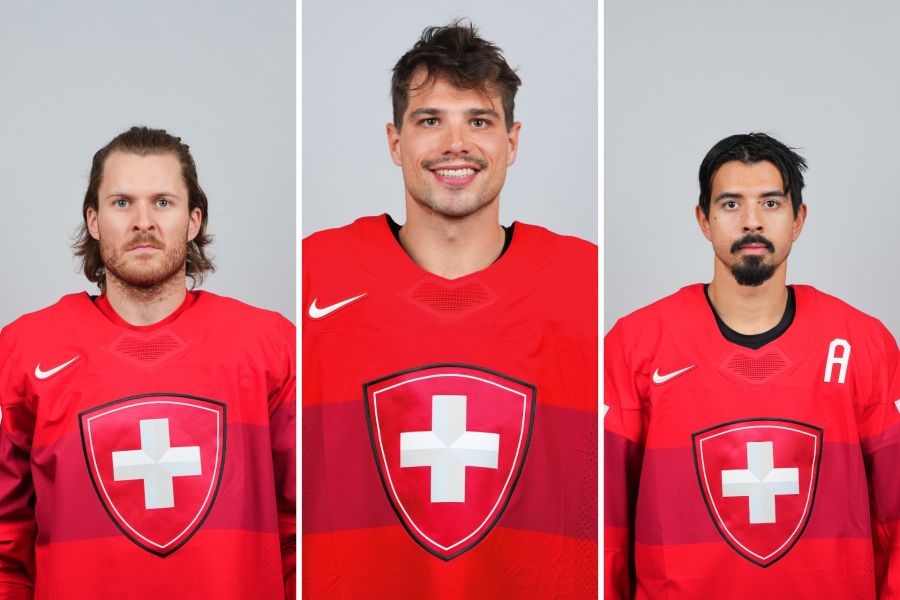 Schweizer Nati Slapshot