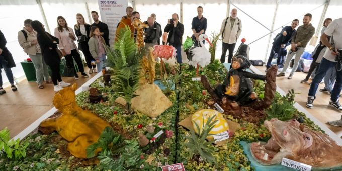 Der Zoo Basel feiert 2024 mit Gewinn und Besucherrekord. Zoo Basel