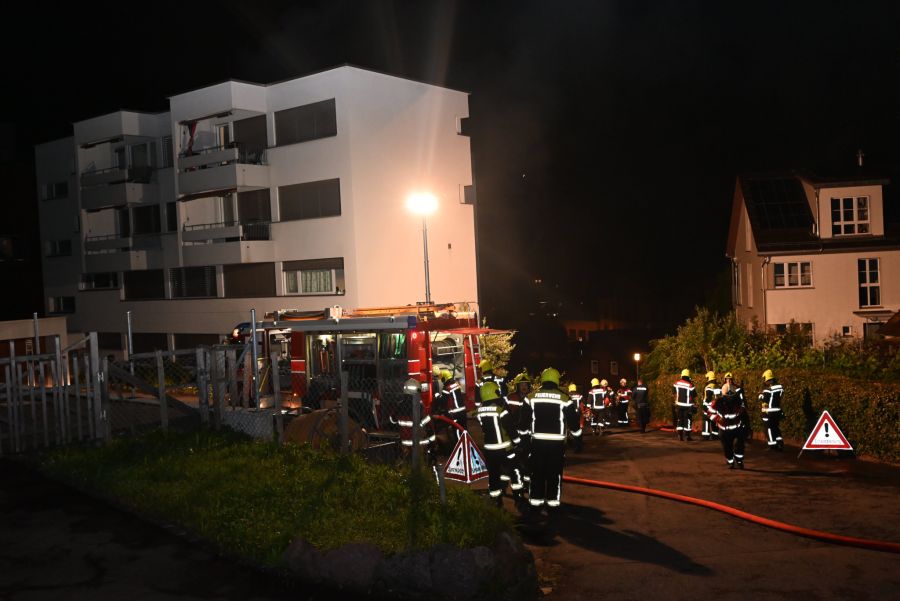 Ein Hund verstarb beim Brand.