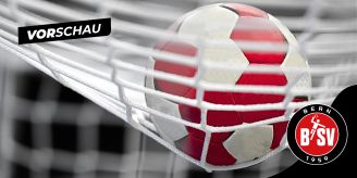Handball - BSV Bern testet gegen Champions-League-Sieger Magdeburg