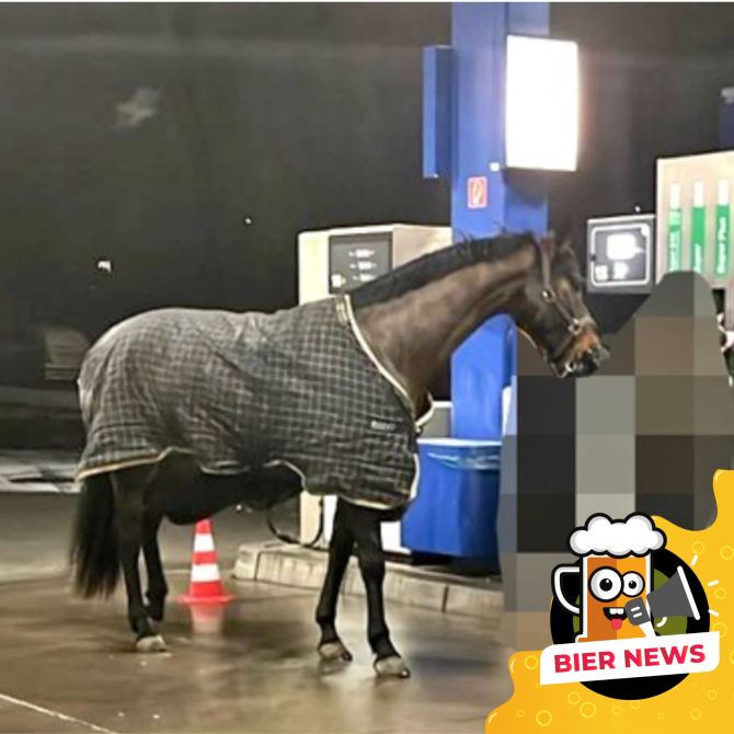 Pferd Tankstelle