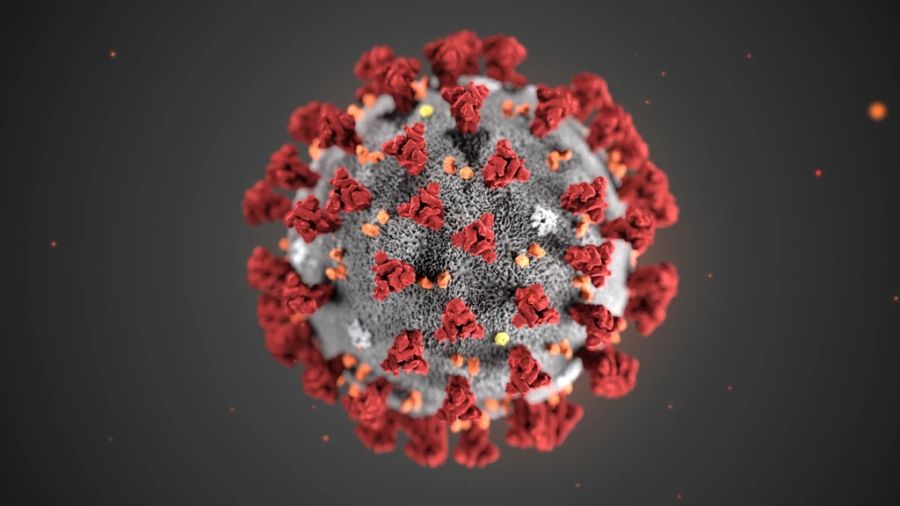 Corona Virus Modell