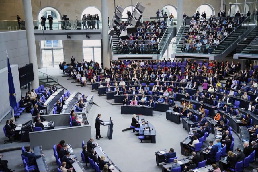 AfD Bundestag