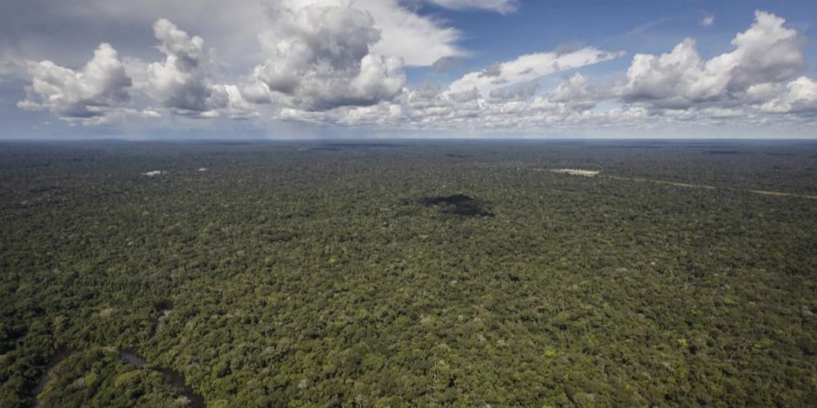 Amazonas Autobahn