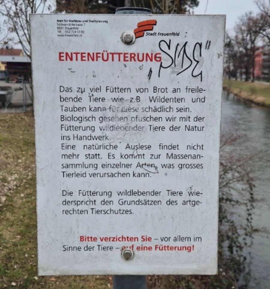 enten frauenfeld