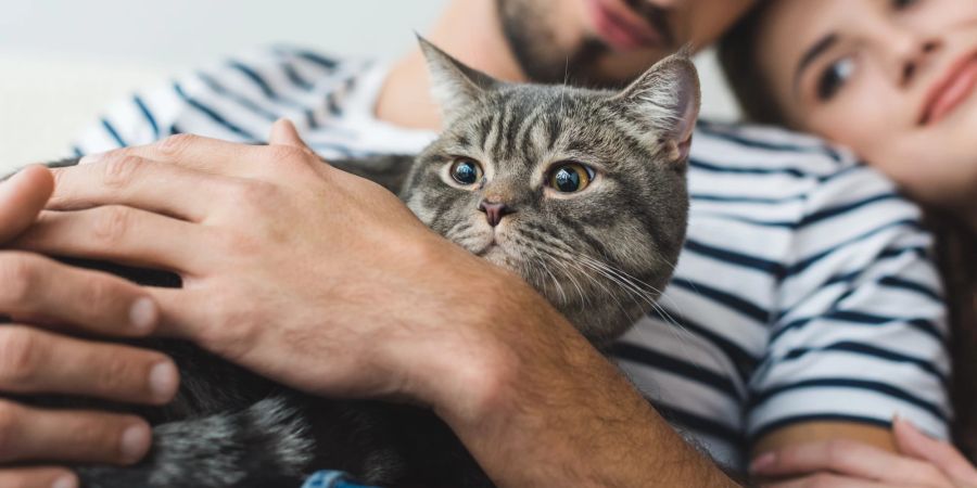 Pärchen mit Katze im Arm