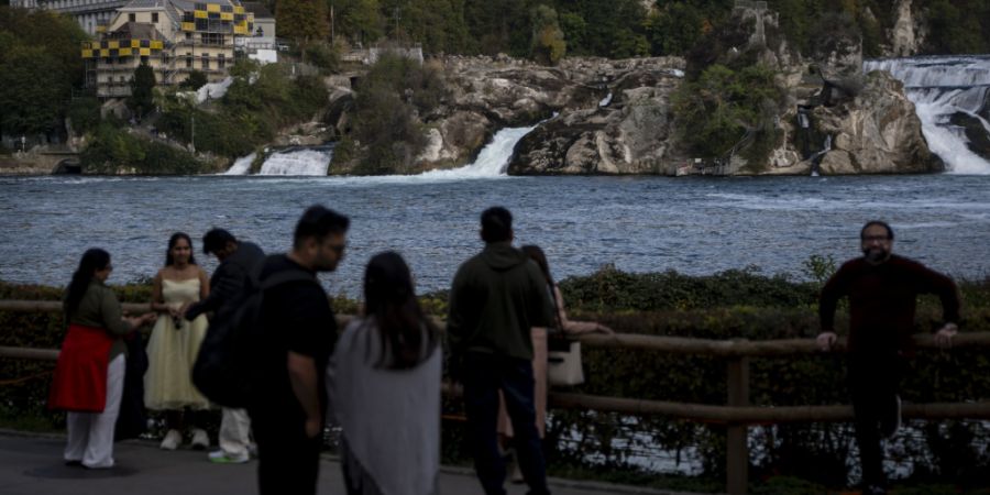 Ein neues Parkleitsystem soll die Besucherinnen und Besucher am Rheinfall bereits auf der Autobahn darauf hinweisen, wo noch Parkplätze frei sind. (Symbolbild)