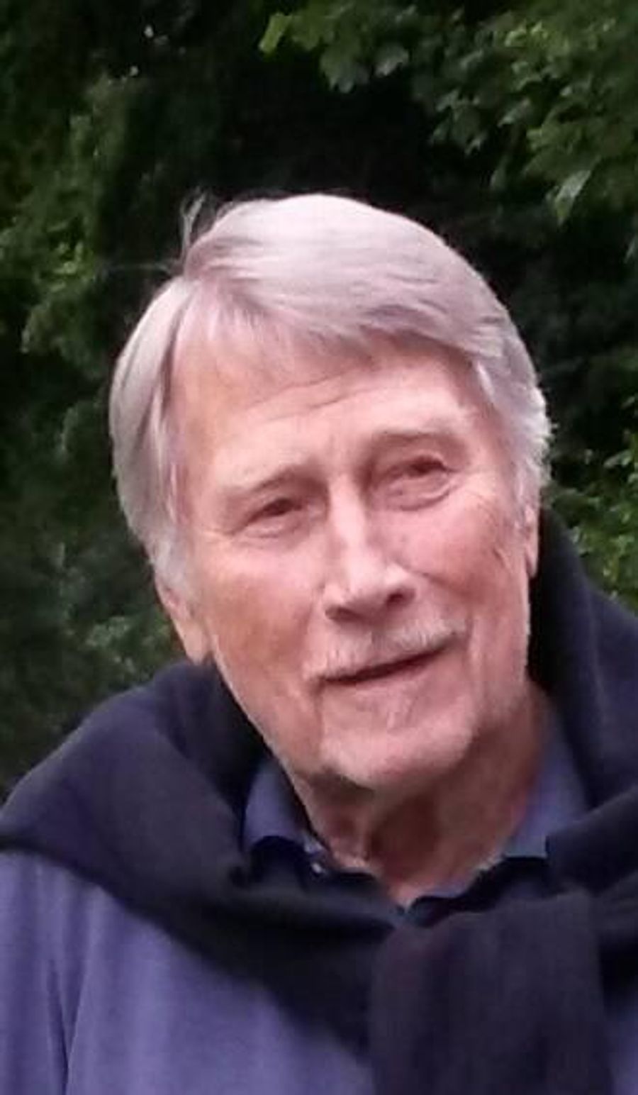 Experten wie Norbert C. Novotny sehen das kritisch.